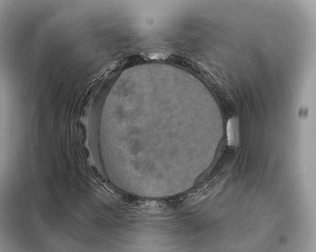 X0000097911443200804111059