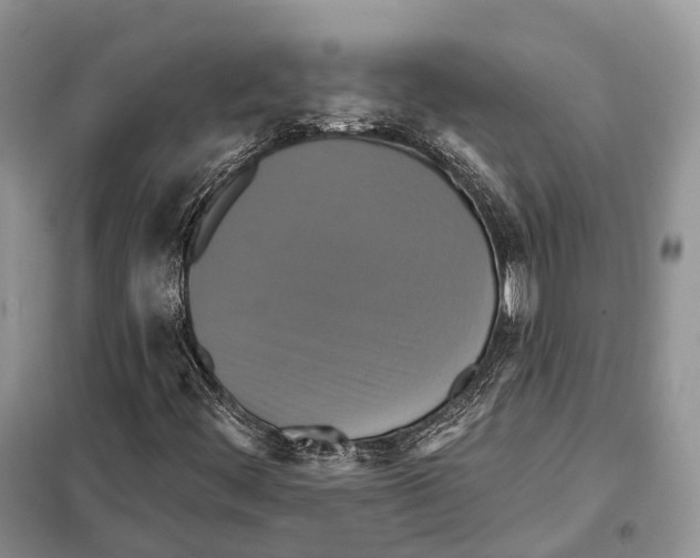 X0000097911444200804111059