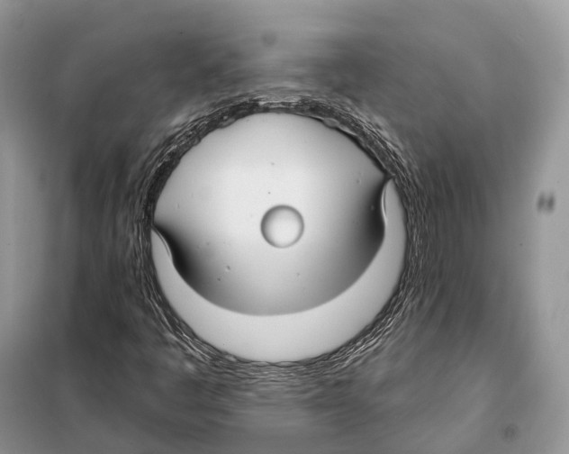 X0000097911445200804111059