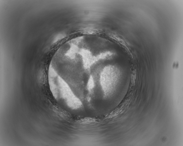 X0000097911446200804111059