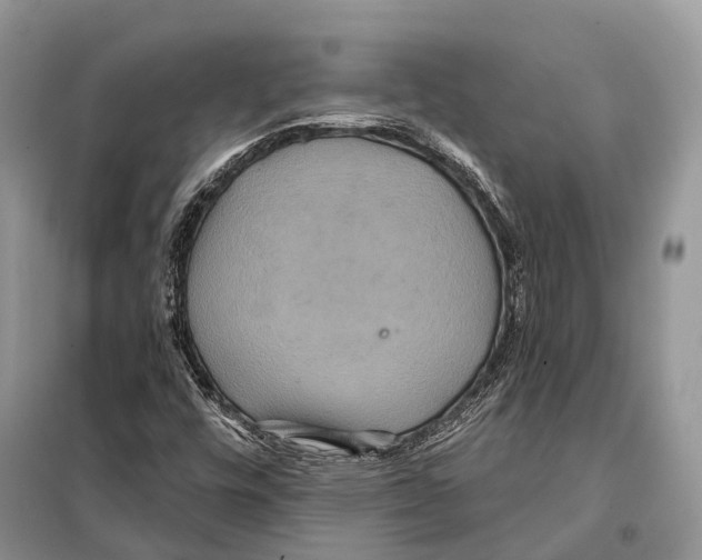 X0000097911448200804111059