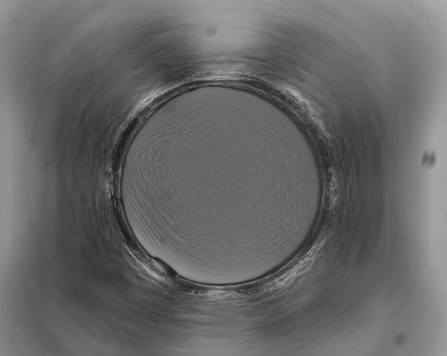 X0000097911449200804111059