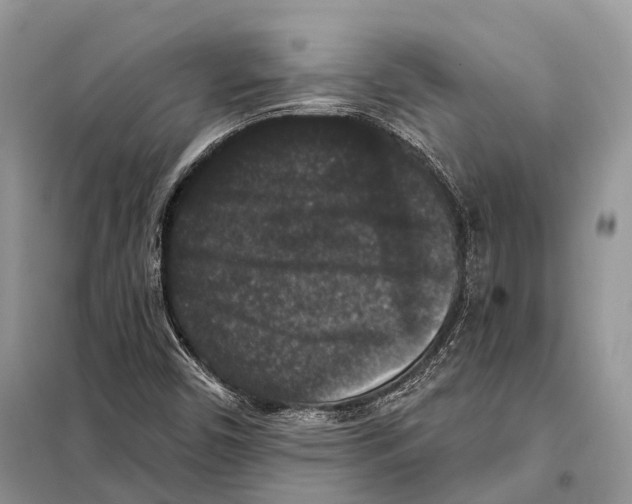 X0000097911450200804111059