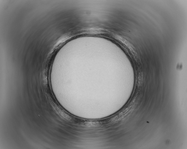 X0000097911451200804111059