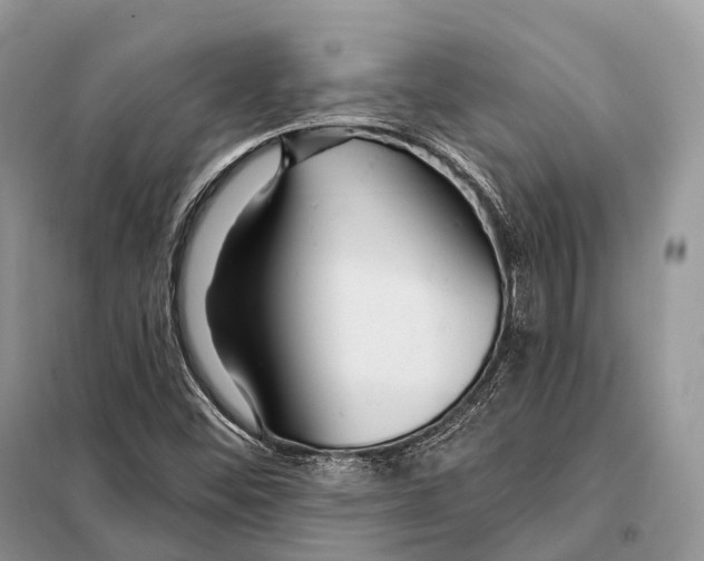 X0000097911452200804111059