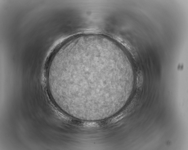 X0000097911454200804111059