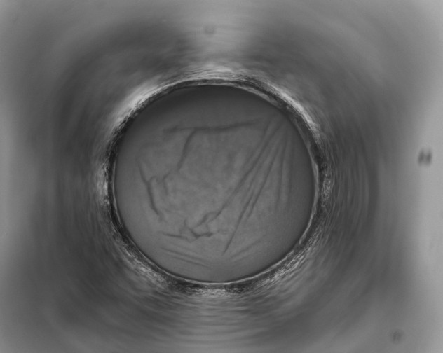 X0000097911455200804111059