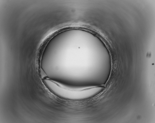 X0000097911456200804111059