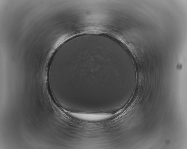 X0000097911459200804111059