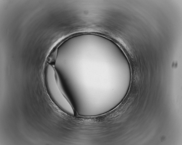 X0000097911460200804111059