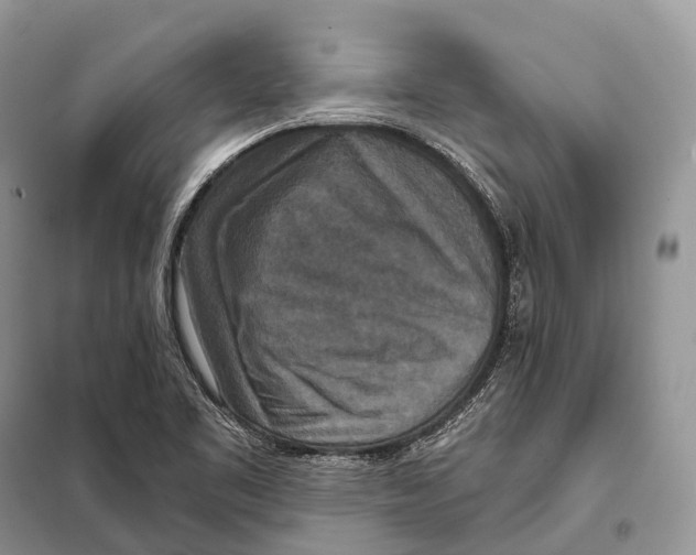 X0000097911461200804111059