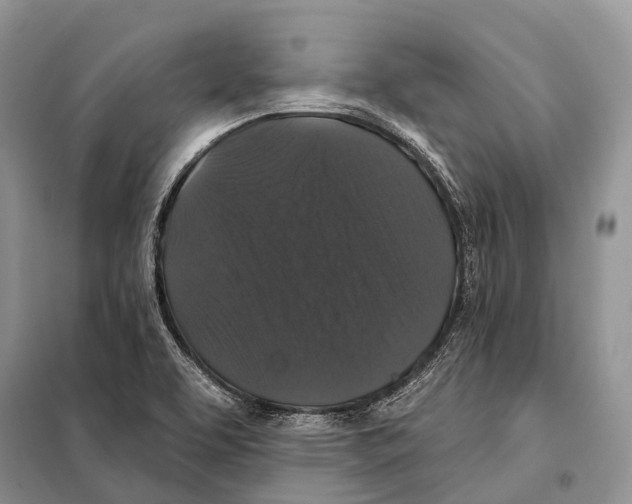 X0000097911463200804111059