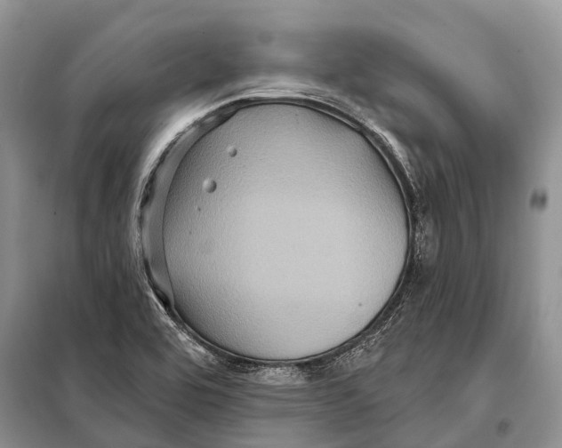 X0000097911464200804111059