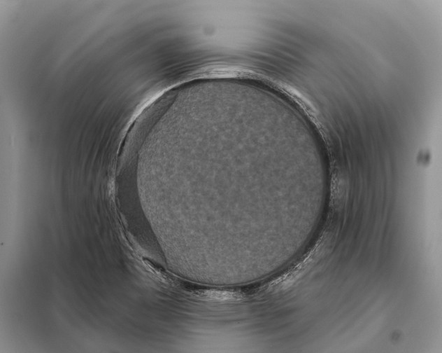 X0000097911465200804111059