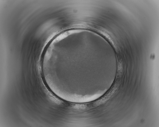 X0000097911466200804111059