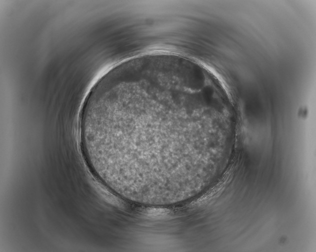 X0000097911467200804111059