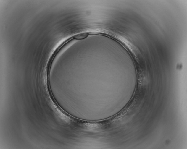 X0000097911468200804111058