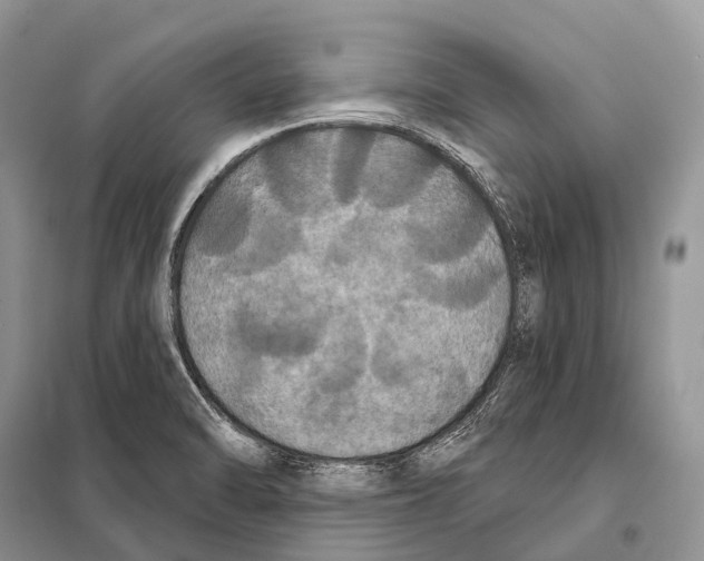 X0000097911470200804111058