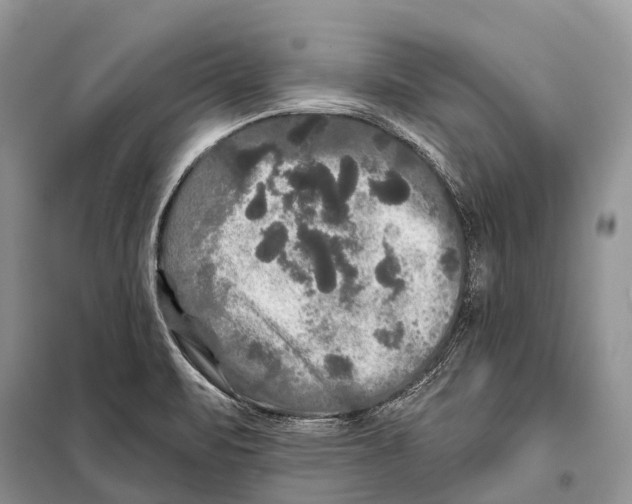 X0000097911471200804111058