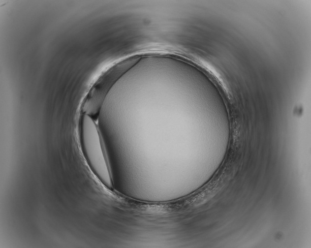 X0000097911472200804111058