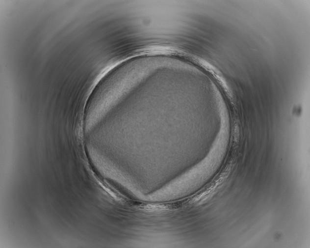 X0000097911473200804111058