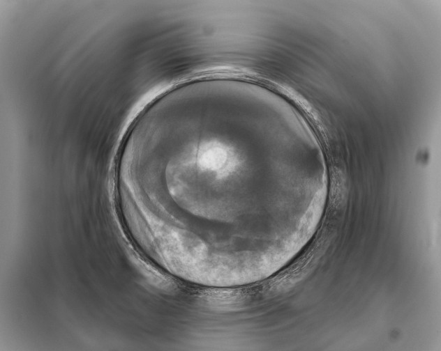 X0000097911474200804111058