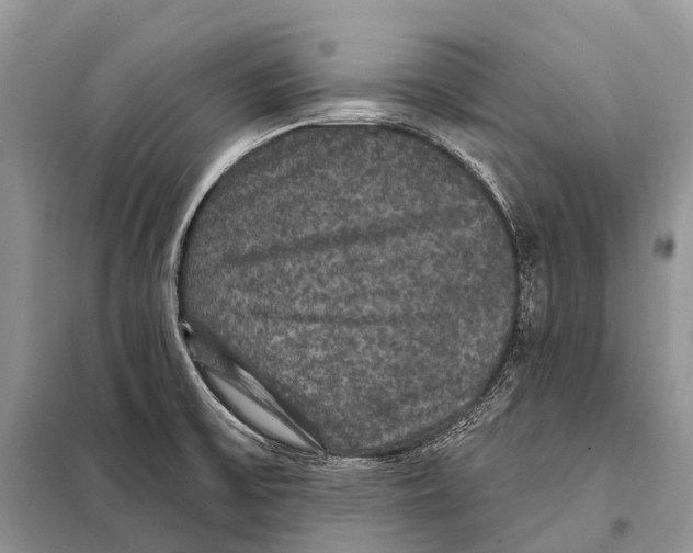 X0000097911475200804111058