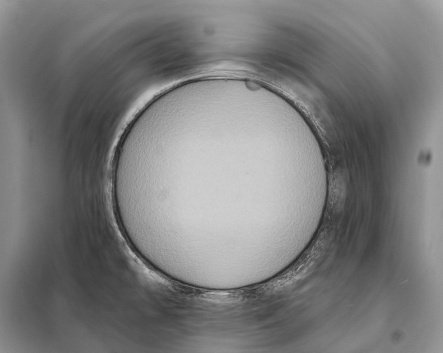 X0000097911478200804111058