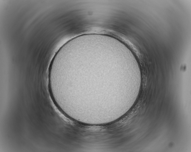 X0000097911479200804111058