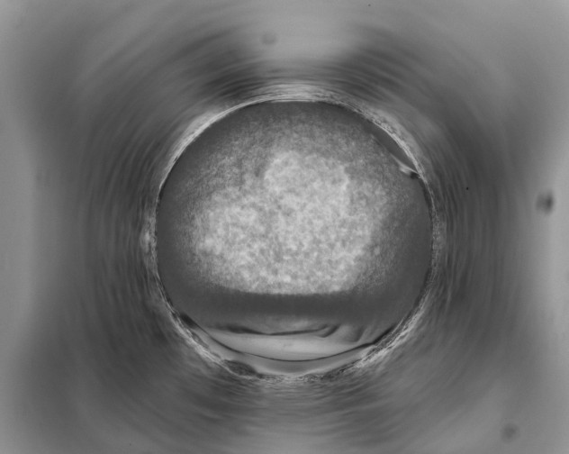 X0000097911481200804111058