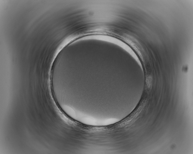 X0000097911482200804111058