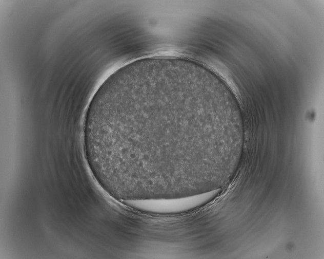 X0000097911483200804111058