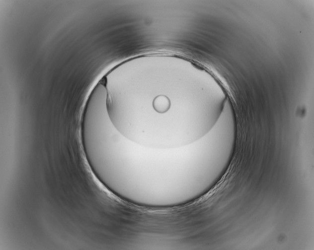 X0000097911484200804111058