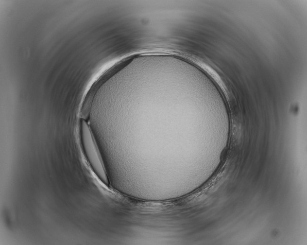 X0000097911485200804111058