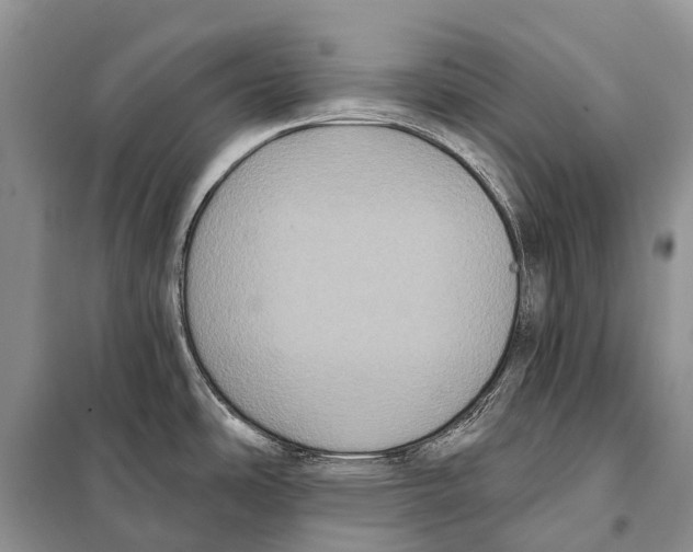 X0000097911486200804111058