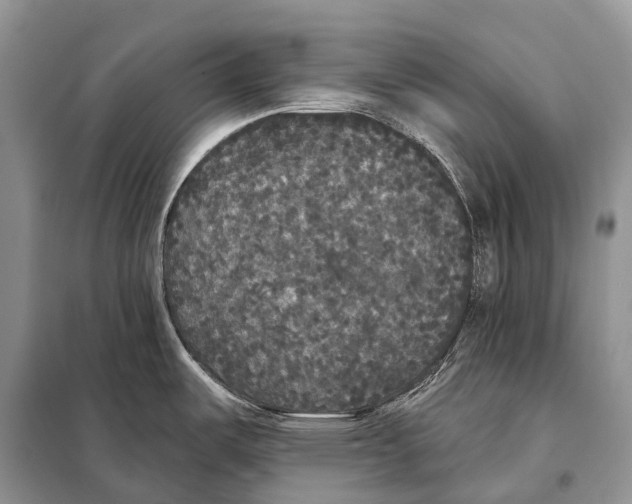 X0000097911487200804111058