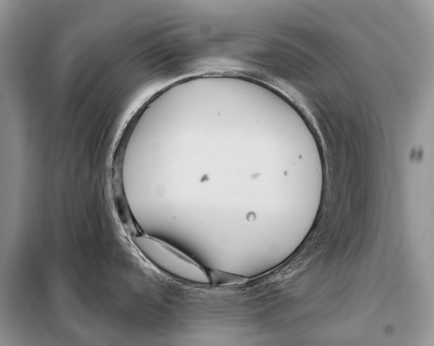 X0000097911488200804111058