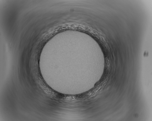 X0000097911489200804111057