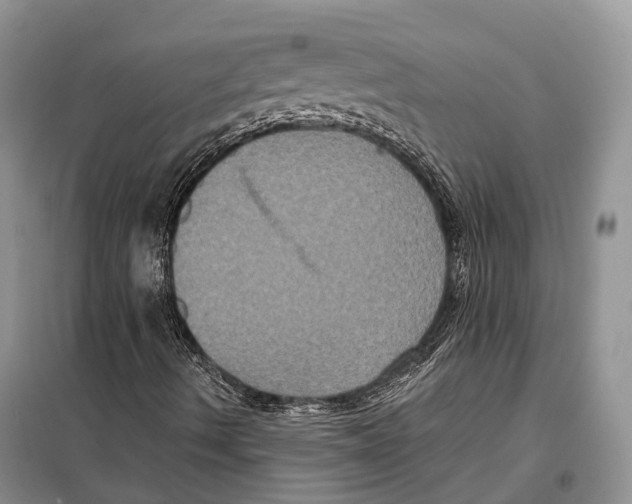 X0000097911490200804111057