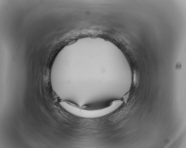 X0000097911492200804111057