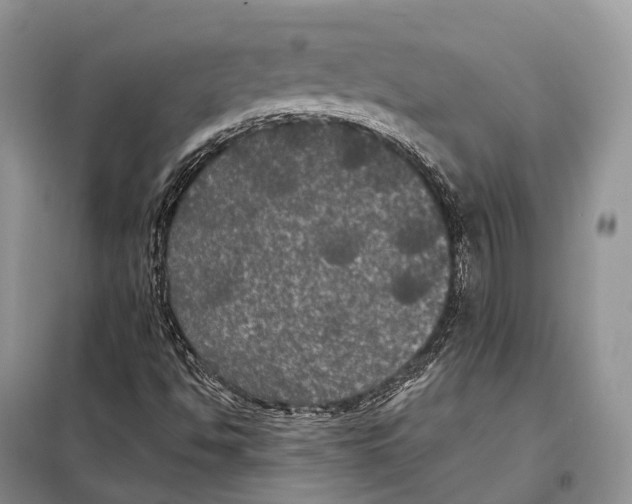 X0000097911494200804111057