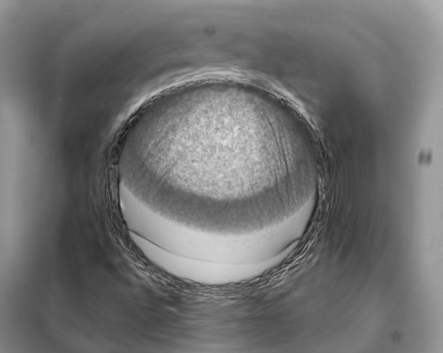 X0000097911496200804111057