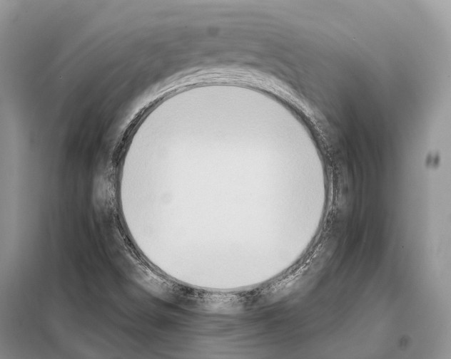 X0000097911498200804111058