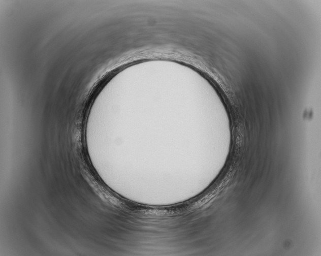 X0000097911499200804111058