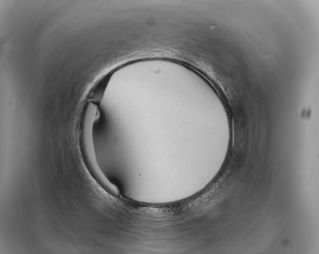 X0000097911500200804111058