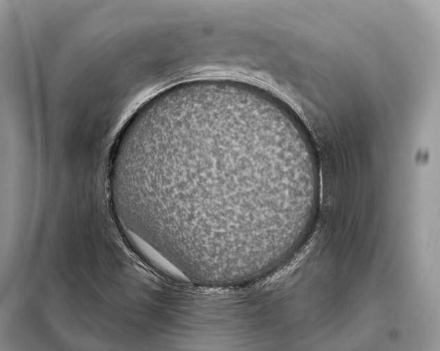 X0000097911501200804111058