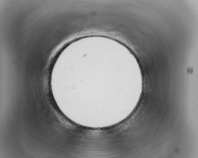 X0000097911502200804111058