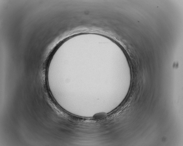 X0000097911503200804111058