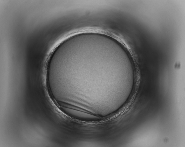 X0000097911504200804111058