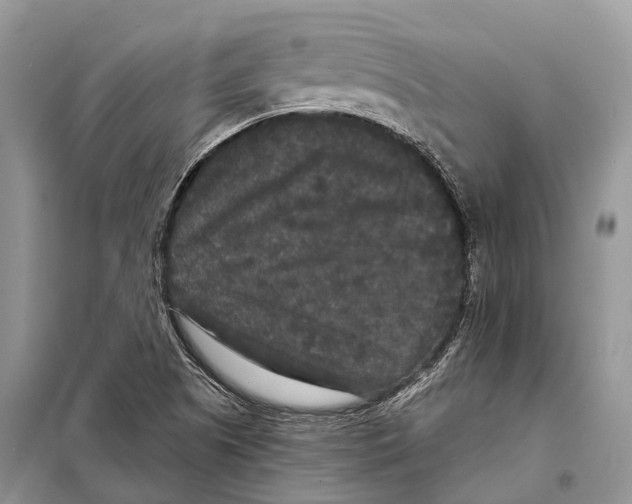 X0000097911505200804111058